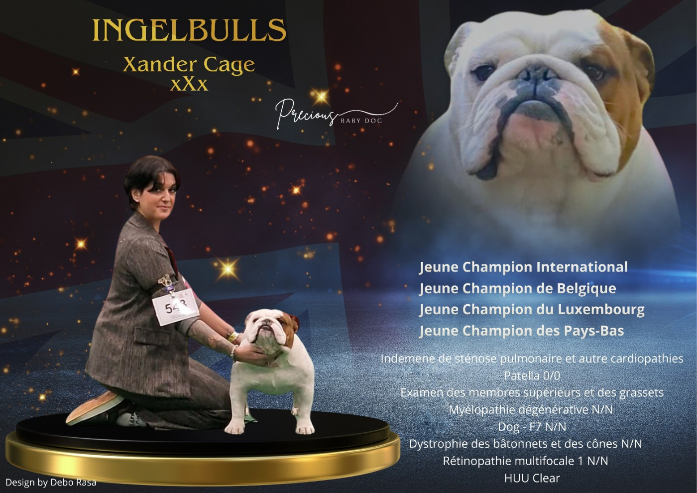 ingelbulls Xander cage xxx